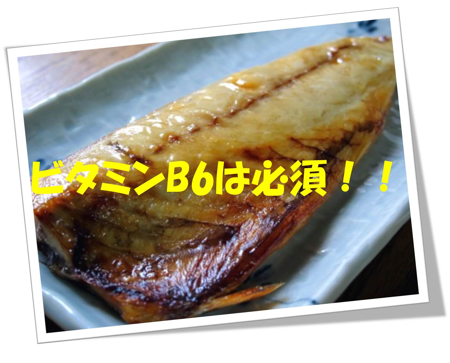 サバ.jpg