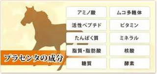 プラセンタ概要.jpg