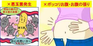 悪玉菌・ポッコリお腹.jpg