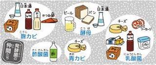発酵食品.jpg