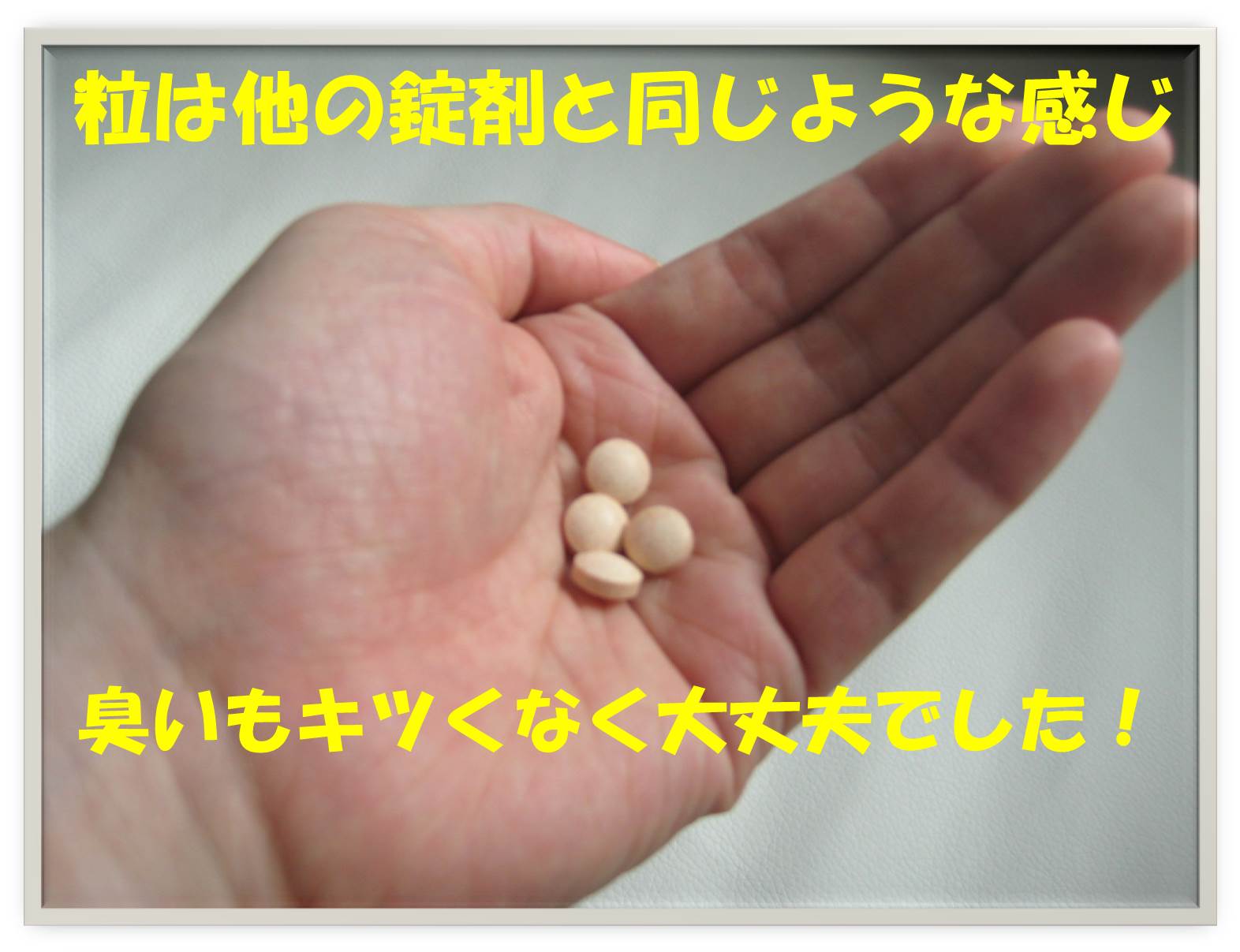 錠剤.jpg